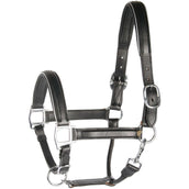 Harry's Horse Licol Cuir avec Jonc Argent Harry's Horse Licol Cuir avec Jonc Argent