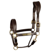 Harry's Horse Licol Marron Harry's Horse Licol Marron
