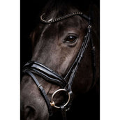 HB Bridon Showtime Evalira Noir HB Bridon Showtime Evalira Noir