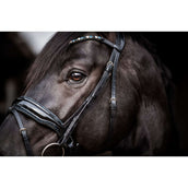 HB Bridon Showtime Evalira Bleu/Noir HB Bridon Showtime Evalira Bleu/Noir