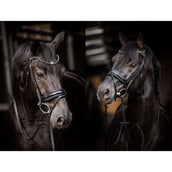 HB Bridon Showtime Evalira Noir HB Bridon Showtime Evalira Noir