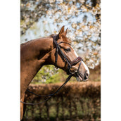 HB Bride Juwel Glitter Marron/or HB Bride Juwel Glitter Marron/or