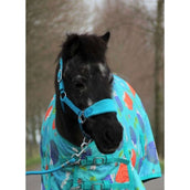 HB Licol Bellwood Fleece Turquoise HB Licol Bellwood Fleece Turquoise
