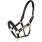 HB Licol Horse Name Leer Noir HB Licol Horse Name Leer Noir