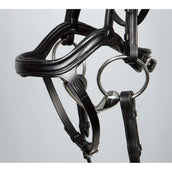 Harry's Horse Bride Anatomic Noir Harry's Horse Bride Anatomic Noir