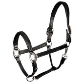 Harry's Horse Licol Padded Cuir Noir Harry's Horse Licol Padded Cuir Noir