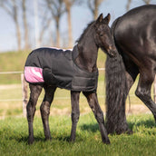 Harry's Horse Couverture pour Poulain TwoTone Noir Harry's Horse Couverture pour Poulain TwoTone Noir