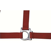 HKM Licol Stars Economy Rouge HKM Licol Stars Economy Rouge