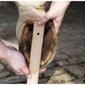 HKM Chaussure de Dépannage pour Cheval Noir HKM Chaussure de Dépannage pour Cheval Noir