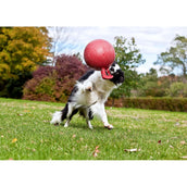 Jolly Ball Tug-n-Toss Bleu Jolly Ball Tug-n-Toss Bleu