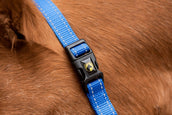 Excellent Licol Superior Bleu Excellent Licol Superior Bleu
