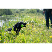 Dog Comets Lance-Balles Meteor Vert Dog Comets Lance-Balles Meteor Vert