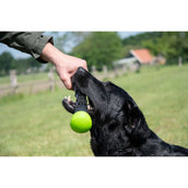 Dog Comets Lance-Balles Meteor Vert Dog Comets Lance-Balles Meteor Vert