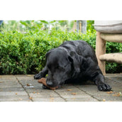 Bugbone Friandise pour Chien 6 Pièces Bugbone Friandise pour Chien 6 Pièces