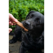 Bugbone Friandise pour Chien 6 Pièces Bugbone Friandise pour Chien 6 Pièces