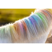 Lucky Horse des Crayons arc-en-ciel Lucky Horse des Crayons arc-en-ciel