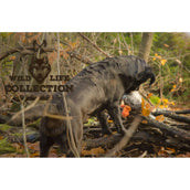 Wild Life Dog Toy Wild Life Dog Toy