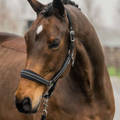 HORKA Ensemble Licol Equestrian Pro Crystals & Pearls Noir HORKA Ensemble Licol Equestrian Pro Crystals & Pearls Noir