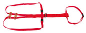 Kerbl Bandage de Prolapsus Mouton Kerbl Bandage de Prolapsus Mouton
