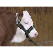 Kerbl Licol Veau Support Vert/Noir Kerbl Licol Veau Support Vert/Noir