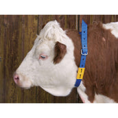 Kerbl Collier d'Identification Bleu Kerbl Collier d'Identification Bleu
