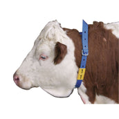 Kerbl Collier d'Identification Bleu Kerbl Collier d'Identification Bleu