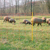 Agradi Power Filet à Moutons Double Goupille Agradi Power Filet à Moutons Double Goupille