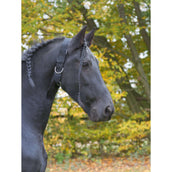 Kerbl Tour de Cou pour Chevaux Kerbl Tour de Cou pour Chevaux