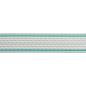 Ako Ruban de Clôture Premium Plus Blanc/Vert Ako Ruban de Clôture Premium Plus Blanc/Vert