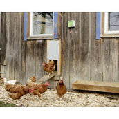 Kerbl Porte de poulet Automatique Jeu Kerbl Porte de poulet Automatique Jeu