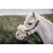 Kentucky Licol en Cuir Leather Sheepskin Kentucky Licol en Cuir Leather Sheepskin
