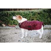 Kentucky Veste pour Chien Original Royal Bordeaux Kentucky Veste pour Chien Original Royal Bordeaux