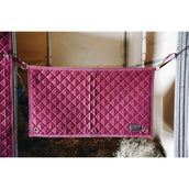 Kentucky Longe d'Attache Bordeaux Kentucky Longe d'Attache Bordeaux