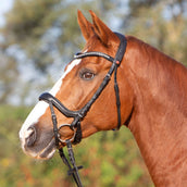 Kieffer Bridon Amy Ultrasoft Suédois avec Boucle et Noseband Noir Kieffer Bridon Amy Ultrasoft Suédois avec Boucle et Noseband Noir