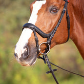 Kieffer Bridon Amy Ultrasoft Suédois avec Boucle et Noseband Noir Kieffer Bridon Amy Ultrasoft Suédois avec Boucle et Noseband Noir