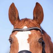 Kieffer Bridon Amy Ultrasoft Suédois avec Boucle et Noseband Noir Kieffer Bridon Amy Ultrasoft Suédois avec Boucle et Noseband Noir