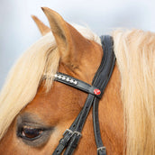 Kieffer Bride Ultrasoft Haflinger Noir/Blanches Pierres Kieffer Bride Ultrasoft Haflinger Noir/Blanches Pierres