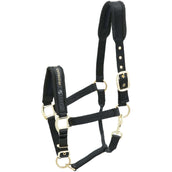 Kieffer Licol Nylon Noir Kieffer Licol Nylon Noir