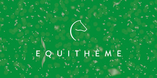 equitheme