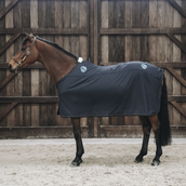 Kentucky Magnetic Rug Recuptex Kentucky Magnetic Rug Recuptex