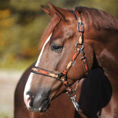Kavalkade Licol Classic Raute Marron/Marron Clair/Orange Kavalkade Licol Classic Raute Marron/Marron Clair/Orange
