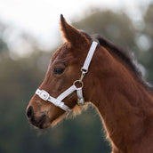 Kavalkade Licol Foal/Yearling Blanc/Argent Kavalkade Licol Foal/Yearling Blanc/Argent