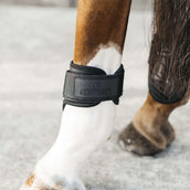 Kentucky Horsewear Protège-Boulets Young Horse Noir Kentucky Horsewear Protège-Boulets Young Horse Noir