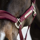 Kentucky Licol velours Bordeaux Kentucky Licol velours Bordeaux