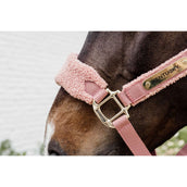 Kentucky Licol Polaire Teddy Rose Vieux Kentucky Licol Polaire Teddy Rose Vieux