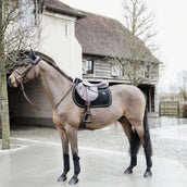 Kentucky Bonnet Anti-Mouches Wellington Basic velours Noir Kentucky Bonnet Anti-Mouches Wellington Basic velours Noir