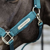 Kentucky Licol velours Émeraude Kentucky Licol velours Émeraude