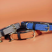 Kentucky Collier Plaited Nylon Beige Kentucky Collier Plaited Nylon Beige