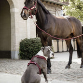 Kentucky Corde pour Licol Basic Bordeaux Kentucky Corde pour Licol Basic Bordeaux