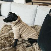 Kentucky Pull Chien Teddy Fleece Beige Kentucky Pull Chien Teddy Fleece Beige